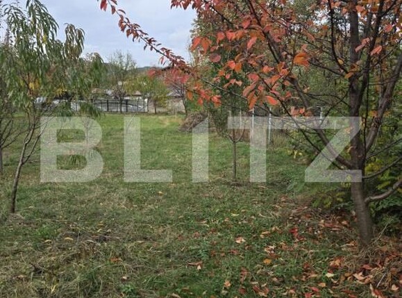 Teren de vânzare Brebu - 209428TV | BLITZ Ploieşti | Poza4