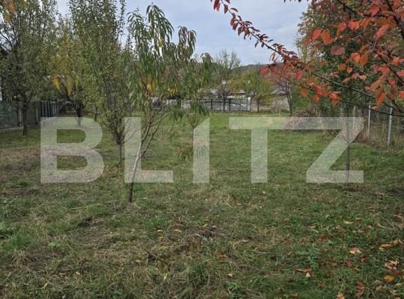 Teren de vânzare Brebu - 209428TV | BLITZ Ploieşti | Poza5