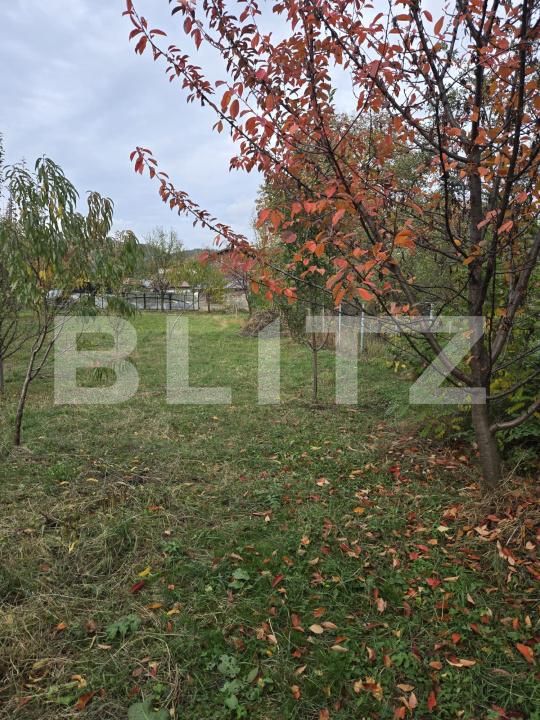 Teren de vânzare Brebu - 209428TV | BLITZ Ploieşti | Poza4