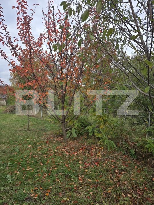 Teren de vânzare Brebu - 209428TV | BLITZ Ploieşti | Poza6