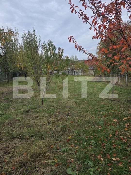 Teren de vânzare Brebu - 209428TV | BLITZ Ploieşti | Poza5