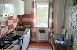 Apartament 2 camere, 45 mp, zona Nord 