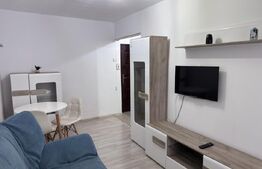 Garsoniera de inchiriat, 20 mp, zona Sud
