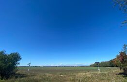 Teren extravilan, 17000mp, Aricestii Rahtivani