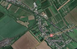 Teren extravilan, 10000mp, sat Corlatesti