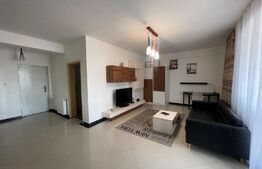 Apartament 2 camere, 55 mp, terasa 85 mp, garaj, zona Bariera București