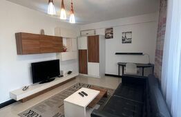 Apartament 2 camere, 55 mp, terasa 85 mp, garaj, zona Bariera București