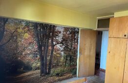 Apartament 2 camere , 61 mp , Mihai Viteazul