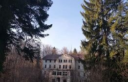 Vila printesei Sisi, 30 de camere, 3 ha, 2000 mp construiti, Marilla