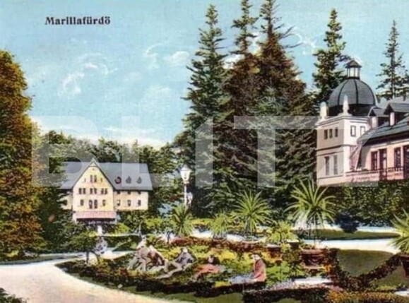 Casa de vânzare 30 camere Marila - 140544CV | BLITZ Reşiţa | Poza6