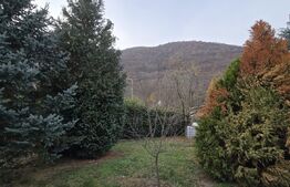 Casă deosebită cu 3 dormitoare și jacuzzi, aproape de statiunea Baile Herculane