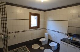 Casă deosebită cu 3 dormitoare și jacuzzi, aproape de statiunea Baile Herculane