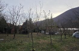 Casă deosebită cu 3 dormitoare și jacuzzi, aproape de statiunea Baile Herculane