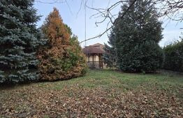 Casă deosebită cu 3 dormitoare și jacuzzi, aproape de statiunea Baile Herculane