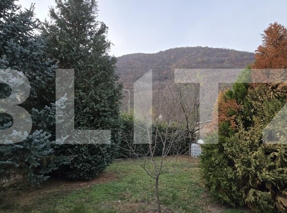 Casa de vânzare 4 camere Baile Herculane - 162589CV | BLITZ Reşiţa | Poza4