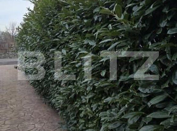 Casa de vânzare 4 camere Baile Herculane - 162589CV | BLITZ Reşiţa | Poza20