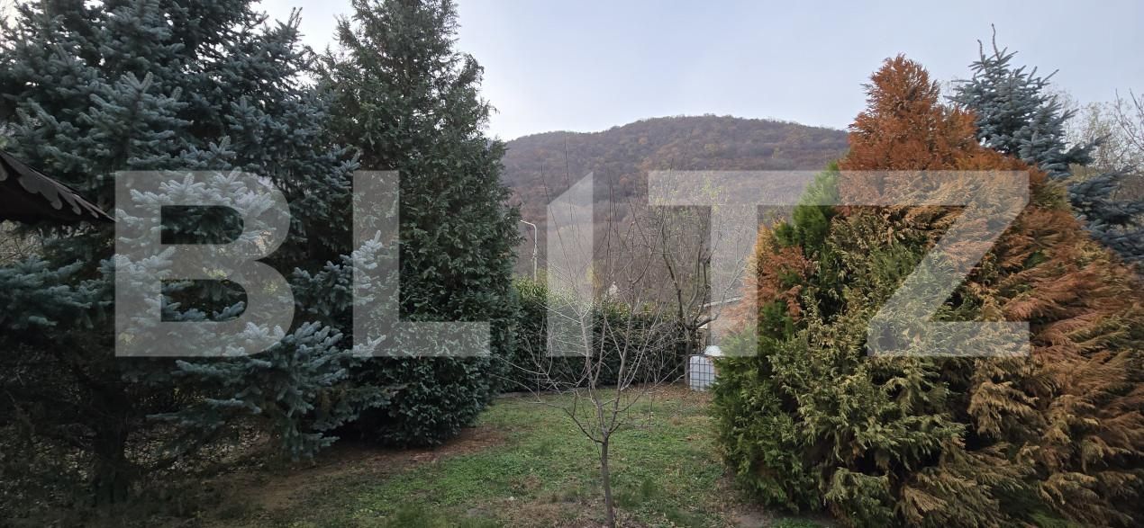 Casa de vânzare 4 camere Baile Herculane - 162589CV | BLITZ Reşiţa | Poza4