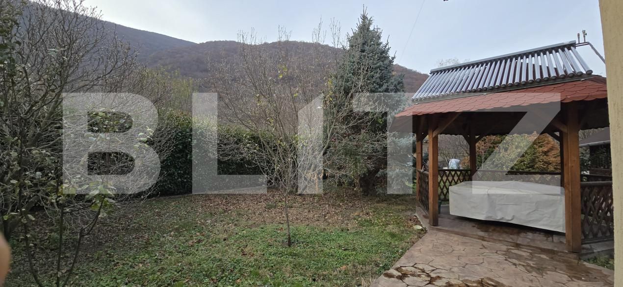 Casa de vânzare 4 camere Baile Herculane - 162589CV | BLITZ Reşiţa | Poza19