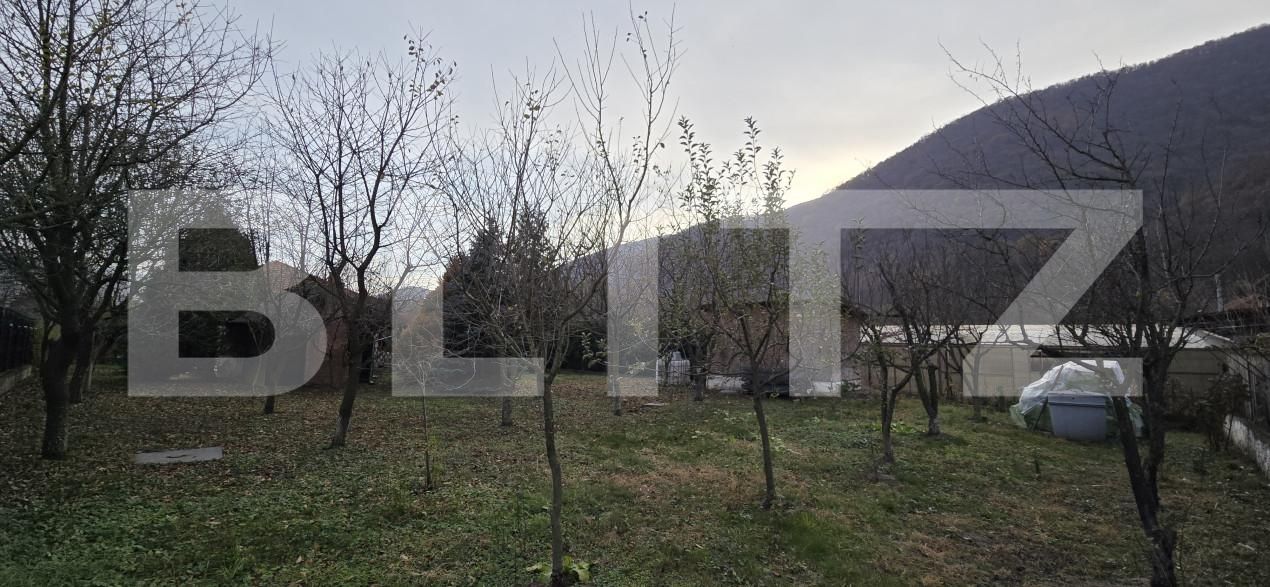 Casa de vânzare 4 camere Baile Herculane - 162589CV | BLITZ Reşiţa | Poza25