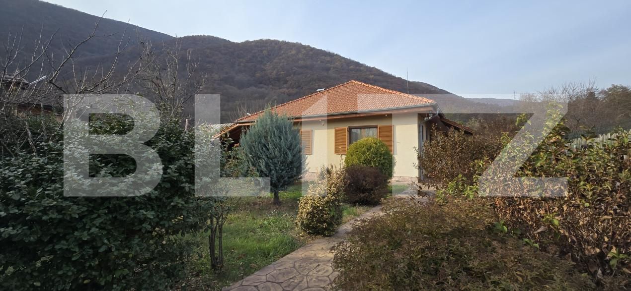 Casa de vânzare 4 camere Baile Herculane - 162589CV | BLITZ Reşiţa | Poza1