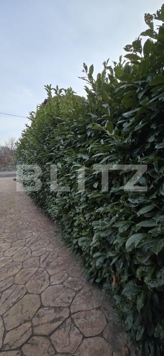 Casa de vânzare 4 camere Baile Herculane - 162589CV | BLITZ Reşiţa | Poza20