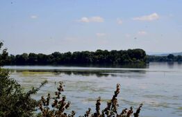 Teren, 120000mp, Insula Calinovat, Moldova Noua 