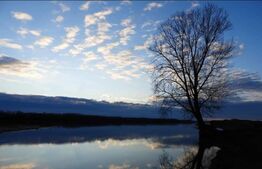 Teren, 120000mp, Insula Calinovat, Moldova Noua 
