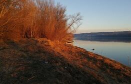 Teren, 120000mp, Insula Calinovat, Moldova Noua 