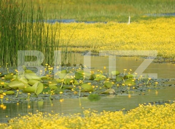 Teren de vânzare Divici - 162680TV | BLITZ Reşiţa | Poza5