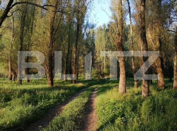 Teren de vânzare Divici - 162680TV | BLITZ Reşiţa | Poza7