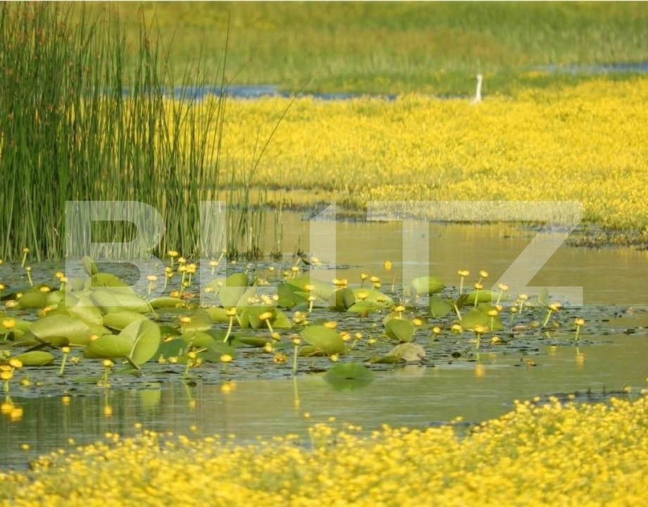 Teren de vânzare Divici - 162680TV | BLITZ Reşiţa | Poza5