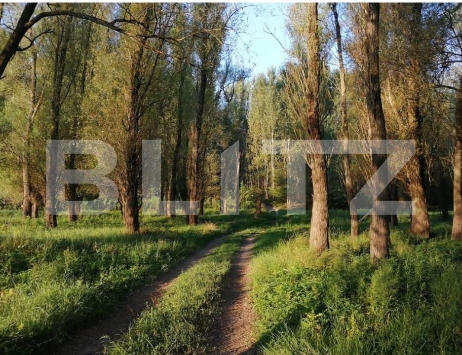 Teren de vânzare Divici - 162680TV | BLITZ Reşiţa | Poza7
