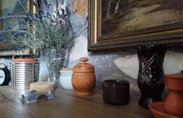 Casă Duplex de Vis – Ideală pentru Business sau Vacanța, Poiana Mărului - Caras 