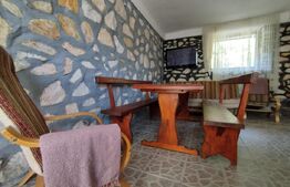 Casă Duplex de Vis – Ideală pentru Business sau Vacanța, Poiana Mărului - Caras 