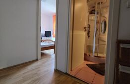 Casă Duplex de Vis – Ideală pentru Business sau Vacanța, Poiana Mărului - Caras 