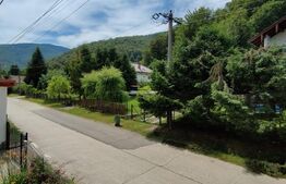 Casă Duplex de Vis – Ideală pentru Business sau Vacanța, Poiana Mărului - Caras 