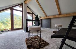 Casă Duplex de Vis – Ideală pentru Business sau Vacanța, Poiana Mărului - Caras 