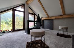 Casă Duplex de Vis – Ideală pentru Business sau Vacanța, Poiana Mărului - Caras 