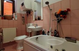 Casă Duplex de Vis – Ideală pentru Business sau Vacanța, Poiana Mărului - Caras 