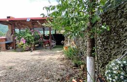 Casă Duplex de Vis – Ideală pentru Business sau Vacanța, Poiana Mărului - Caras 