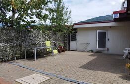 Casă Duplex de Vis – Ideală pentru Business sau Vacanța, Poiana Mărului - Caras 