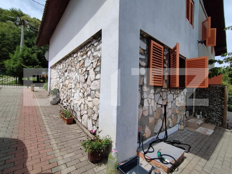 Casa de vânzare 6 camere Poiana Marului - 162691CV | BLITZ Reşiţa | Poza20