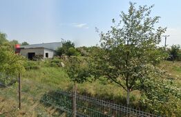 COMISION 0% Teren in Caras Severin, Lipit de profi, Oportunitate de investittie