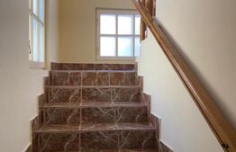 Vila 7 camere, 750mp-teren, BAILE HERCULANE