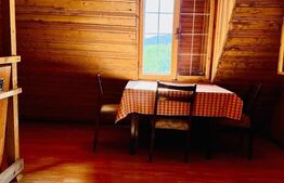 Cabana din lemn, 37 mp, Liubcova 