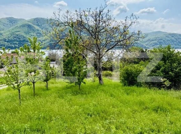 Casa de vânzare 2 camere Liubcova - 179389CV | BLITZ Reşiţa | Poza3