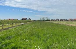 Teren intravilan 3058mp, zona Sătmărel