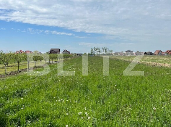 Teren de vânzare Periferie - 114858TV | BLITZ Satu Mare | Poza2