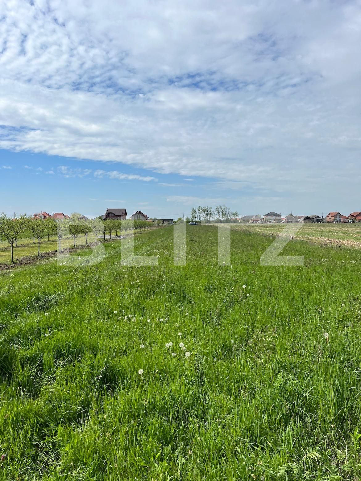 Teren de vânzare Periferie - 114858TV | BLITZ Satu Mare | Poza2