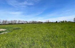 Teren de vânzare, zona Balta Blonda, 41235mp